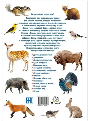 Книжки - картонки. Лесные животные - купить с доставкой по Москве и РФ по  низкой цене | Официальный сайт издательства Робинс