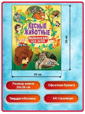 Раскраска Лесные животные. Для детей от 1 года в продаже на OZ.by, купить  раскраски животных и растений по выгодным ценам в Минске