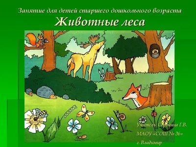 Рисуем Гуашью: Лесные Животные | SkillBerry | Онлайн-школа рисования и  рукоделия для детей и взрослых СкиллБерри