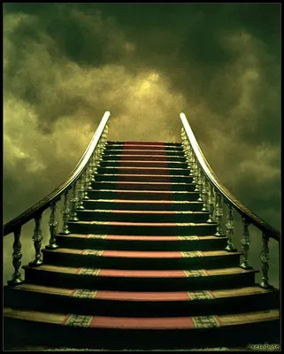 Лестница в небеса | Пикабу