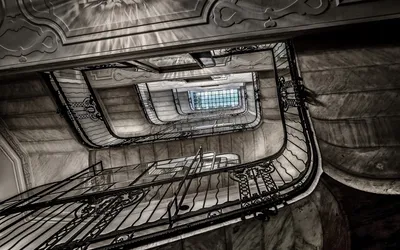 Фотография лестницы, на которой можно увидеть всю красоту мира