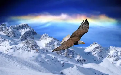 Парящий орел\" - музыка Павел Ружицкий, \"Soaring Eagle\" - music Pavel  Ruzhitsky - YouTube