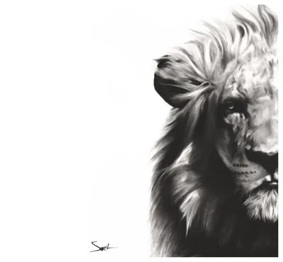 Картина по номерам с акриловыми красками 40*50 Модный лев, арт. VA1123  купить в интернет-магазине «КанцМаркет»