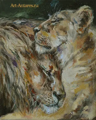 Картинки львов и львиц - 77 фото
