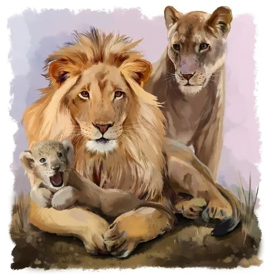 обои : Лев, Дикая природа, Большие кошки, Зоопарк, Семейный, Молодой,  Сафари, Фауна, Млекопитающее, Позвоночный, Кошка как млекопитающее, Собака  породы группа, Масаи лев, львица, Хищники 1920x1280 - wallup - 583027 -  красивые картинки - WallHere
