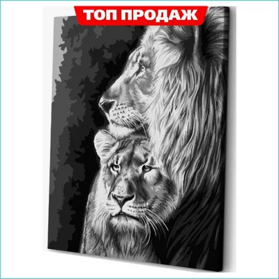 Красивые лев и львица спят на …» — создано в Шедевруме