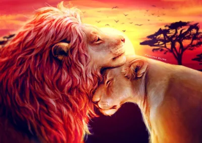 Картинка на рабочий стол любовь, лев, львица 640 x 960