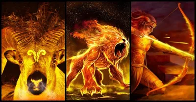 10 признаков того, что вы типичный представитель стихии огня: ОВЕН, ЛЕВ,  СТРЕЛЕЦ | HOROLEO | Дзен