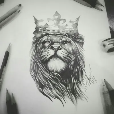 Рисунки карандашом льва - 71 фото