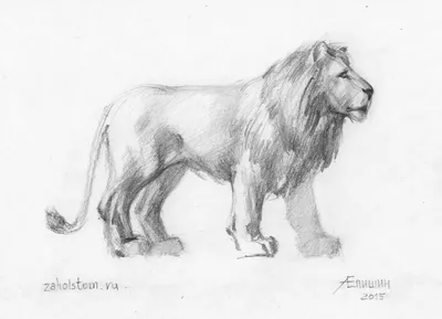 Как нарисовать Киару из Король лев 2: Гордость Симбы простым карандашом  поэтапно