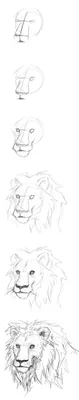 Лев нарисованный карандашом» — создано в Шедевруме