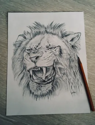 лев #art #lion #карандаш #арт #рисунок | Рисунки, Уроки рисования, Рисование