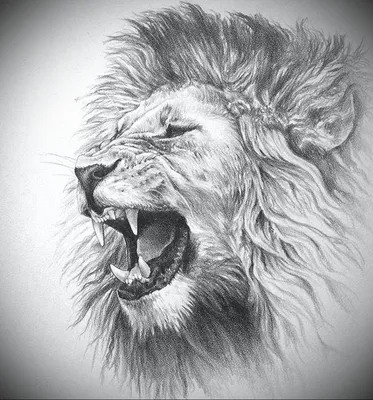 Рисунки король лев - 79 фото