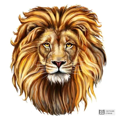 Картинки по запросу лев рисунок | Lion painting, Lion canvas art, Lion  illustration