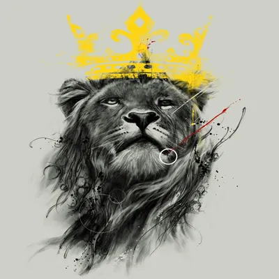лев в черно белом цвете с замысловатыми узорами в голове, картинка льва для  раскрашивания фон картинки и Фото для бесплатной загрузки