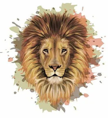 Как нарисовать Симбу из Король лев простым карандашом поэтапно | Рисунки,  Диснеевские темы, Король лев