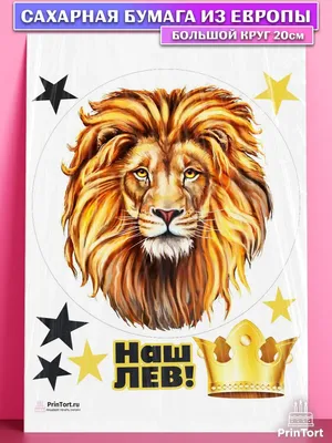 Картина (постер) - Лев, царь зверей | купить в КартинуМне!, цены от 990р.