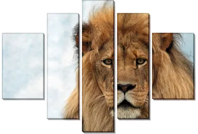 Огоромный лев 🦁 царь зверей в …» — создано в Шедевруме