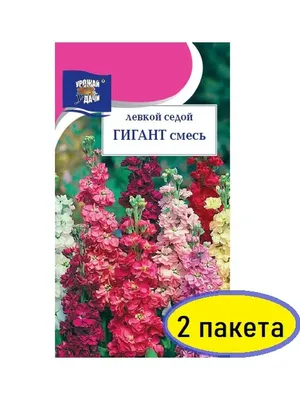 Семена Левкой Седек Фуке 1 г купить для Бизнеса и офиса по оптовой цене с  доставкой в СберМаркет Бизнес