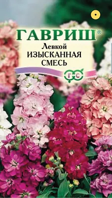 ✓ Семена Левкой седой Айрон белый, 5шт, Гавриш, Элитные сорта и гибриды,  Sakata по цене 0 руб. ◈ Большой выбор ◈ Купить по всей России ✓  Интернет-магазин Гавриш ☎ 8-495-902-77-18