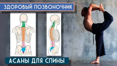 5 most effective exercise therapy exercises for the spine: self-instructor.  Physical therapy at home - YouTube