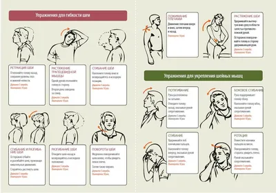 Гимнастика при шейном хондрозе | Упражнения для шеи, Гимнастика, Упражнения