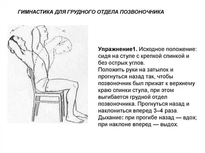 10 лучших упражнений при грыже поясничного отдела позвоночника: комплекс  эффективных тренировок для взрослых, чтобы предупредить или снять боль