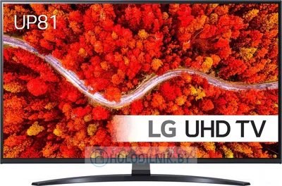 LG 55QNED813QA, 55\" (55QNED813QA)