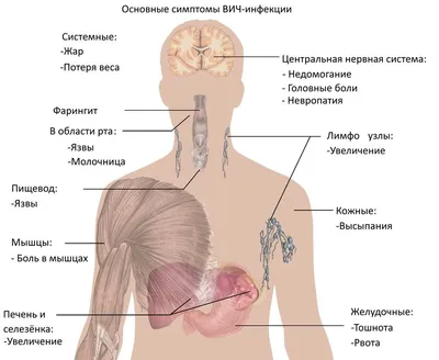 Почему воспаляются лимфоузлы? | Блог о здоровье