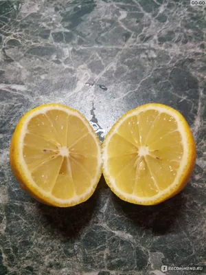 Почему комнатный лимон Пандероза так хорош для выращивания дома? |  Павловский лимон | Дзен