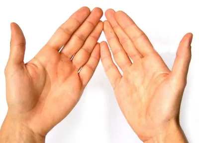 Линии на руке и их значение: фото с эффектом глубины