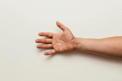 Линии на руке и их значение: фото с ярким контрастом