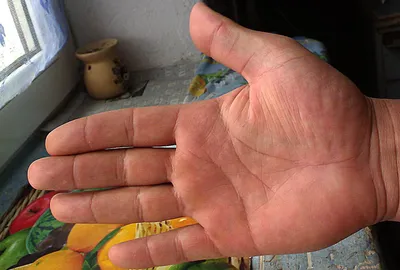 Фотография руки с линиями и их значениями: скачивание в WebP формате