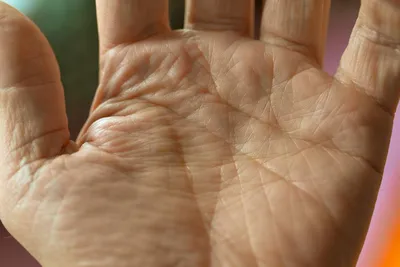 Картинка Линия судьбы на руке в формате PNG