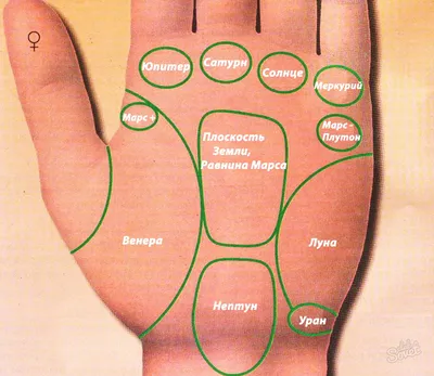 Фото линии замужества на руке: для использования в женских журналах