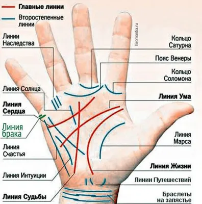 Изображение линии замужества на руке в формате JPG