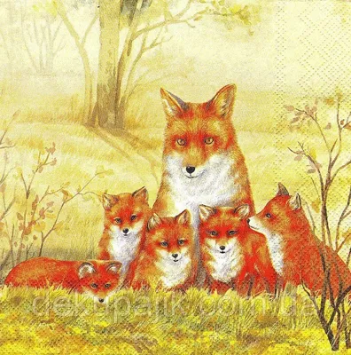 Картинки лиса с лисятами для детского сада