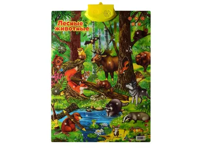 Купити Плакат Лісові тварини . 268 недорого