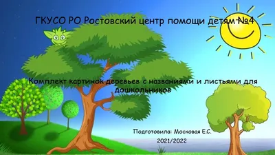 Раскраска Листья деревьев 🖍. Раскрашиваем любимыми цветами бесплатно и с  улыбкой 👍