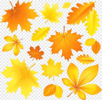 осенние листья сохнут вектор PNG , листья, осень, сухие листья PNG картинки  и пнг рисунок для бесплатной загрузки