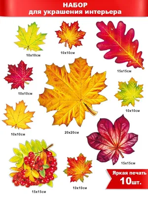 Листья осенние цвет в ассортименте вафельные 10 шт.