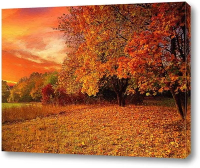 Осенний листопад - красивые фото