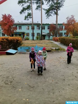 Наклейки на окна \"Листопад\"