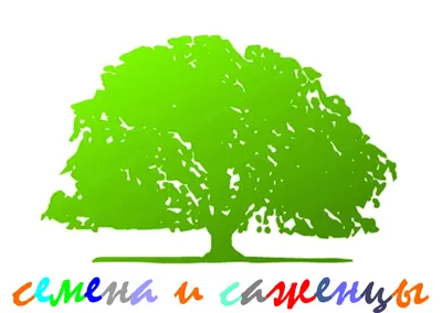 Лиственница Гмелина – вдохновляющее фото дерева