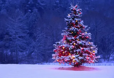 Рождество и любимый фильм вместе дома Стоковое Фото - изображение  насчитывающей счастливо, весело: 204095292