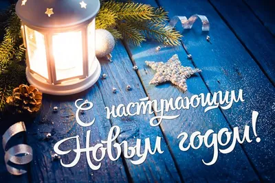 В Улан-Удэ ТОС «Любимый дворик» подарил новогоднее настроение (ФОТО) -  Общество - Новая Бурятия