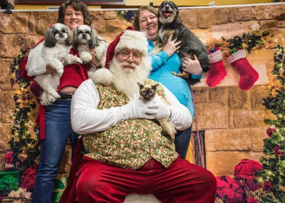 Кейт Миддлтон надела любимый праздничный свитер. 10 образов на Рождество |  РБК Life