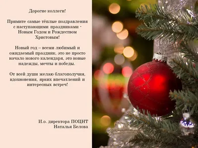 С добрым декабрьским утром 🎄 ⠀Для меня декабрь самый любимый месяц в году,  самый сказочный и самы… | Christmas wonderland, Christmas celebrations,  Christmas spirit