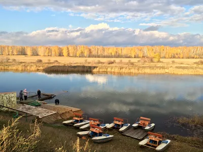 Любинский район фото фотографии