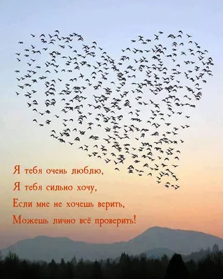 Я ЛЮБЛЮ ТЕБЯ ОЧЕНЬ СИЛЬНО... | Творчество и жизнь Ольги М. | Дзен